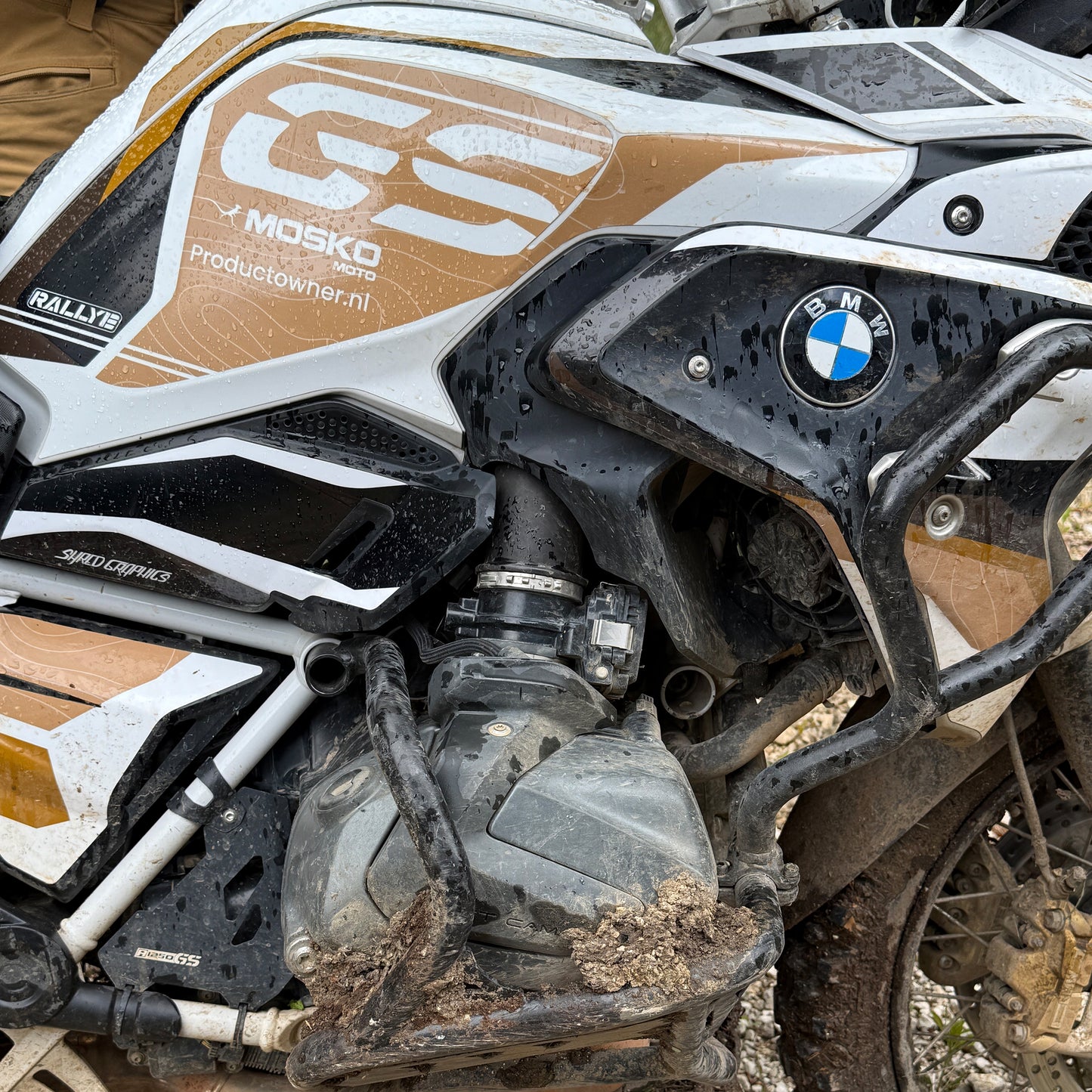 BMW R1250GS | RALLYE DUST